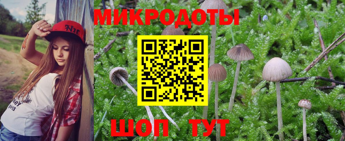 Галлюциногенные грибы Cubensis  Вход с VPN  Елабуга  Галлюциногенные грибы ЛСД 