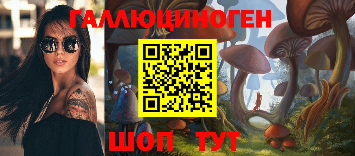 Псилоцибиновые грибы Psilocybine cubensis Елабуга