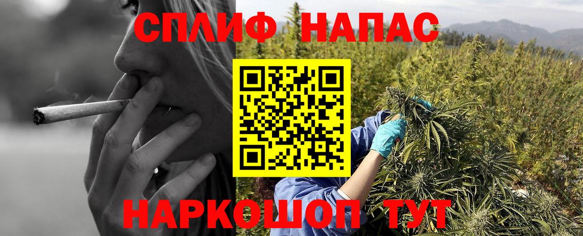 Бошки Шишки конопля Елабуга